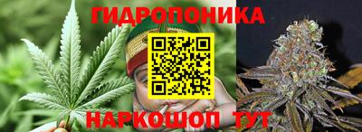 спайс Малгобек
